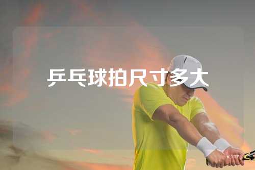 乒乓球拍尺寸多大