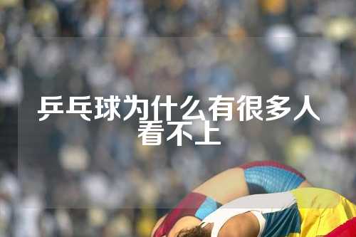 乒乓球为什么有很多人看不上