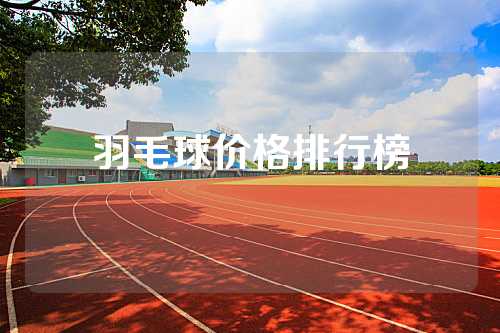 羽毛球价格排行榜