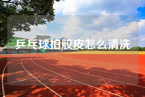 乒乓球拍胶皮怎么清洗