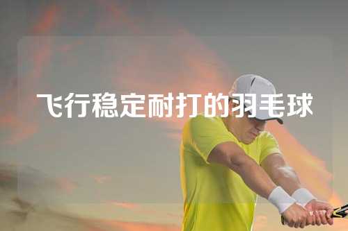 飞行稳定耐打的羽毛球