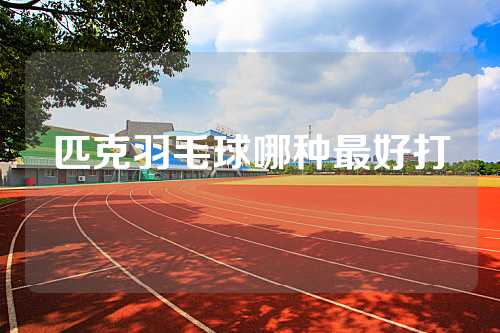 匹克羽毛球哪种最好打