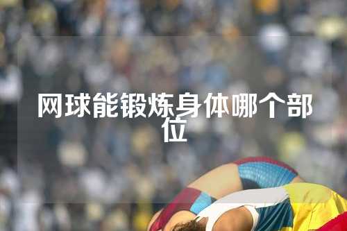 网球能锻炼身体哪个部位