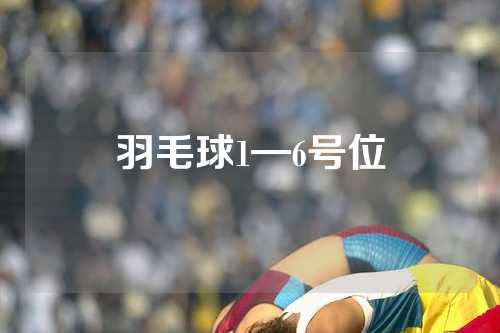 羽毛球1—6号位