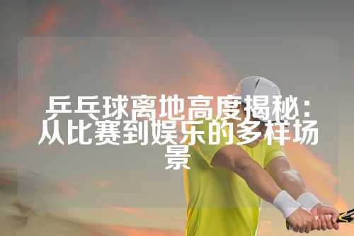 乒乓球离地高度揭秘：从比赛到娱乐的多样场景