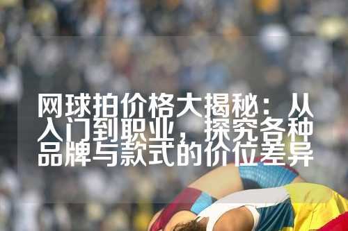 网球拍价格大揭秘：从入门到职业，探究各种品牌与款式的价位差异