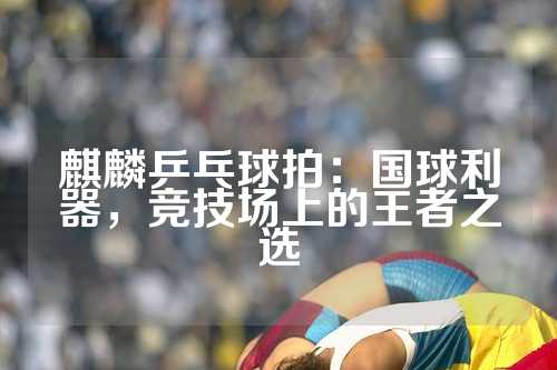 麒麟乒乓球拍：国球利器，竞技场上的王者之选