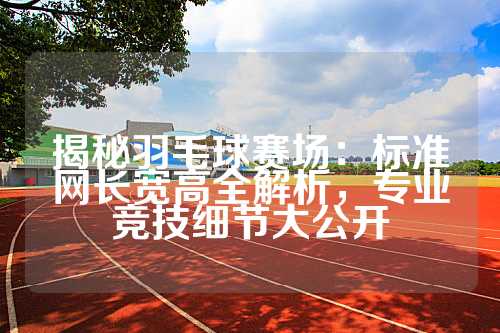 揭秘羽毛球赛场：标准网长宽高全解析，专业竞技细节大公开