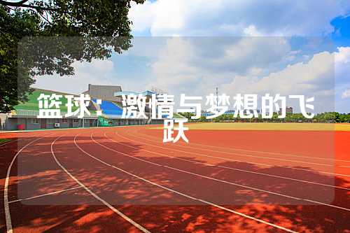 篮球：激情与梦想的飞跃