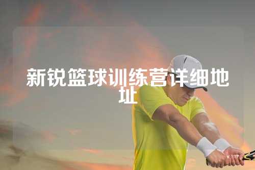 新锐篮球训练营详细地址