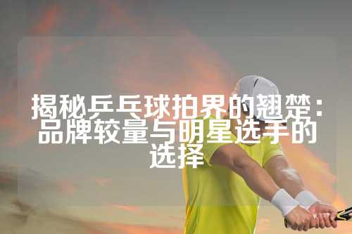 揭秘乒乓球拍界的翘楚：品牌较量与明星选手的选择