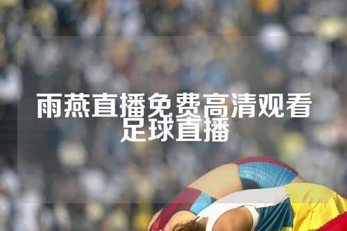 雨燕直播免费高清观看足球直播
