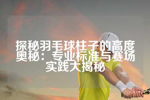 探秘羽毛球柱子的高度奥秘：专业标准与赛场实践大揭秘