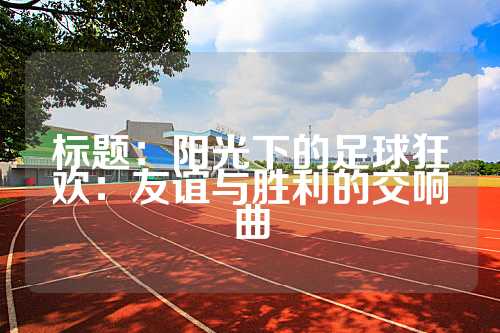 标题：阳光下的足球狂欢：友谊与胜利的交响曲