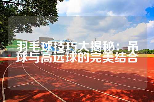 羽毛球技巧大揭秘：吊球与高远球的完美结合