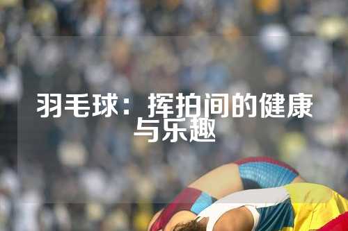 羽毛球：挥拍间的健康与乐趣