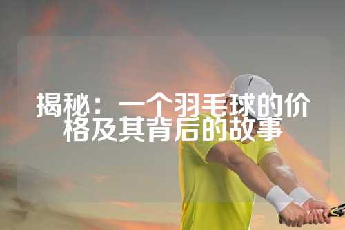 揭秘：一个羽毛球的价格及其背后的故事