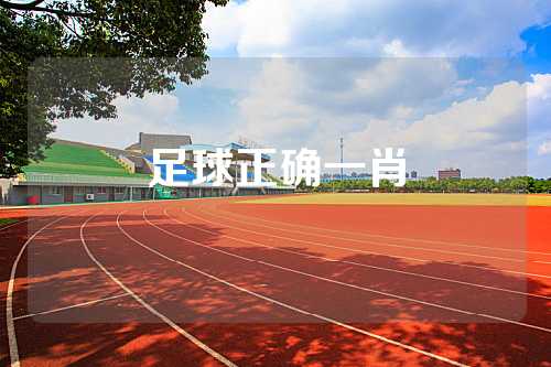足球正确一肖