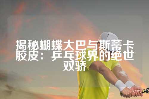 揭秘蝴蝶大巴与斯蒂卡胶皮：乒乓球界的绝世双骄