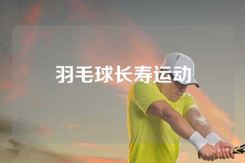 羽毛球长寿运动