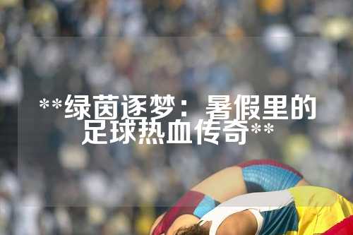 **绿茵逐梦：暑假里的足球热血传奇**